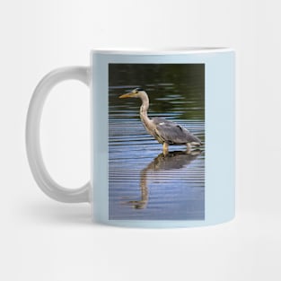 Grey Heron reflection Mug